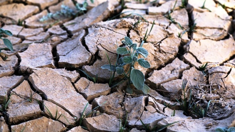 Khủng hoảng nguồn nước ở Trung Á